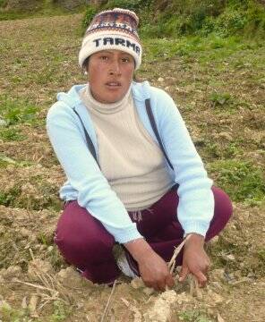 freemicroloan3 Free Microloan #3